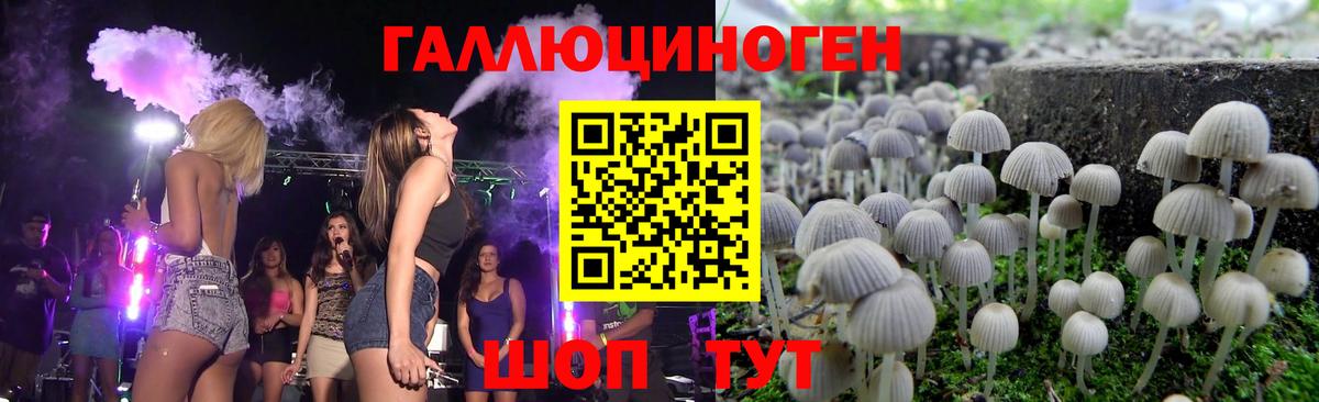 Галлюциногенные грибы прущие грибы Красный Сулин
