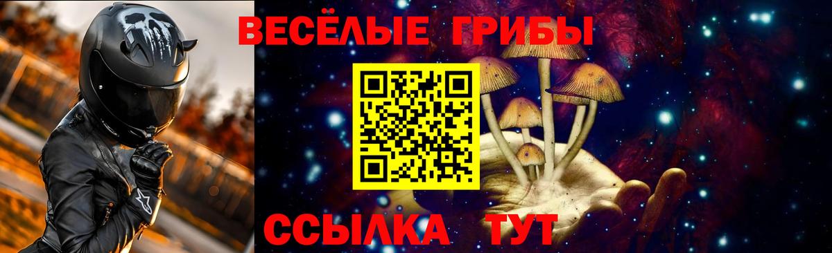 Красный Сулин  купить наркотики цена  Галлюциногенные грибы Psilocybine cubensis  Вход с VPN  Галлюциногенные грибы ЛСД 